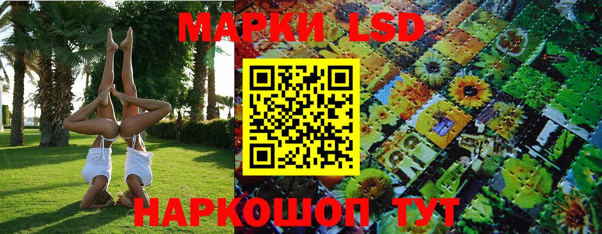 Губкин  Наркотические марки 1500мкг  Вход с VPN 