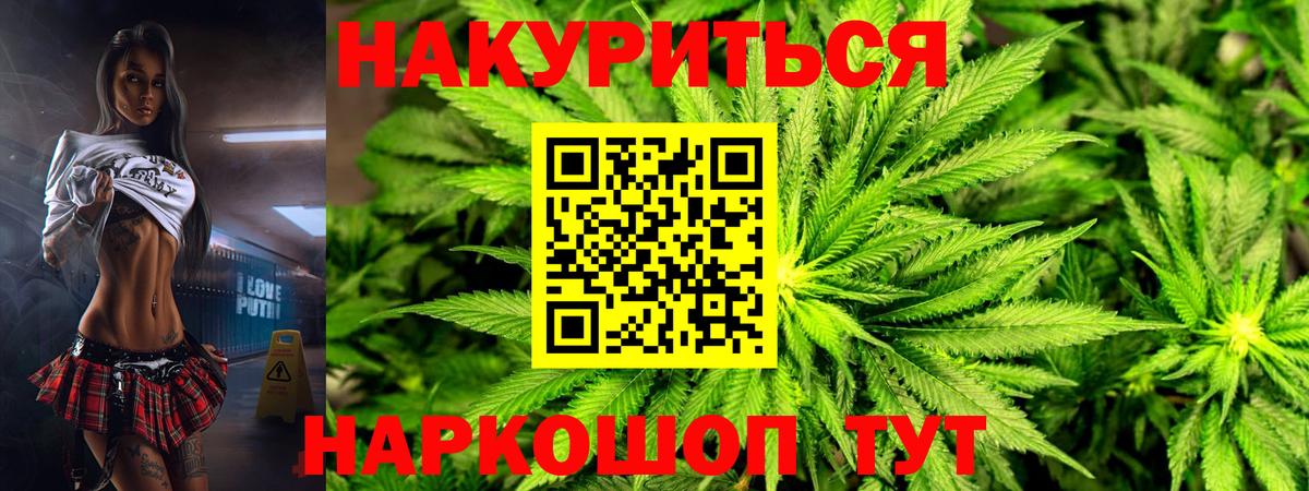 Марихуана Bruce Banner  Марихуана сатива  Вход с VPN  Конопля планчик  Губкин 